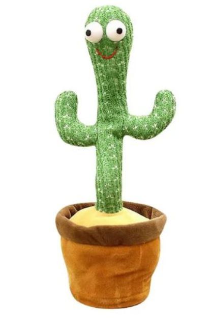 Dancing & Talking Cactus 
